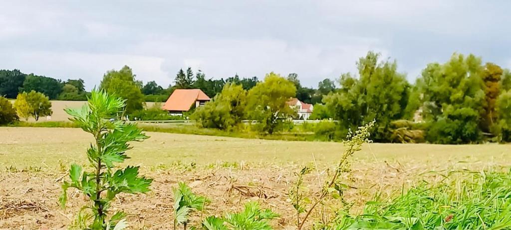 شقة Familienhof Mueritz Klein Plasten المظهر الخارجي الصورة