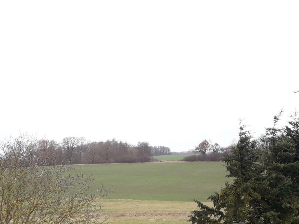 شقة Familienhof Mueritz Klein Plasten المظهر الخارجي الصورة